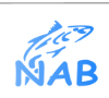 PT Nusantara Akuakultur Bersama (NAB)