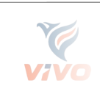 VIVO Energy Indonesia