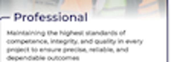 Professional