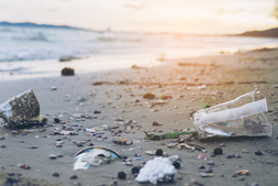 How to Tackle Environmental Pollution