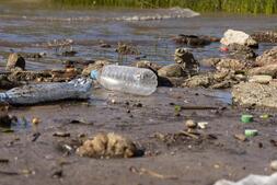 Water Pollution in the Environment: Causes, Impacts, and Solutions