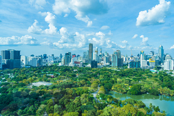 Jakarta's Green Open Space Crisis: Urgent Action Needed for a Sustainable Future