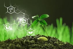 What is ISO 14001? A Complete Guide to Environmental Management Standards